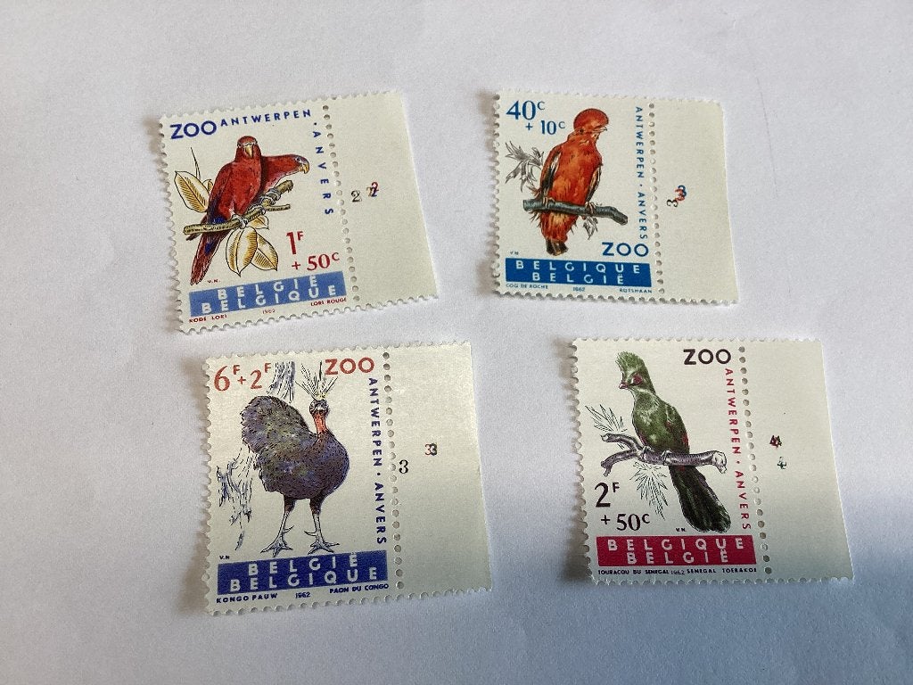 Lot de 4 timbres 1962 ZOO d'Anvers État neuf, Timbres & Monnaies, Sans timbre, Enlèvement ou Envoi, Non oblitéré, Timbre-poste