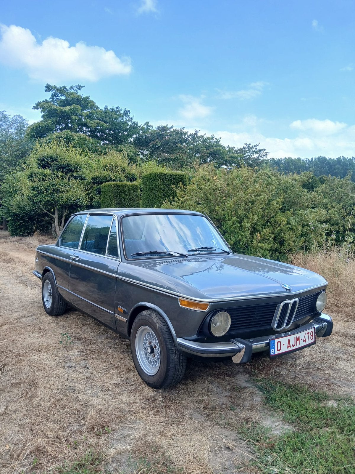 Bmw 1602L E10 1975, foto 3