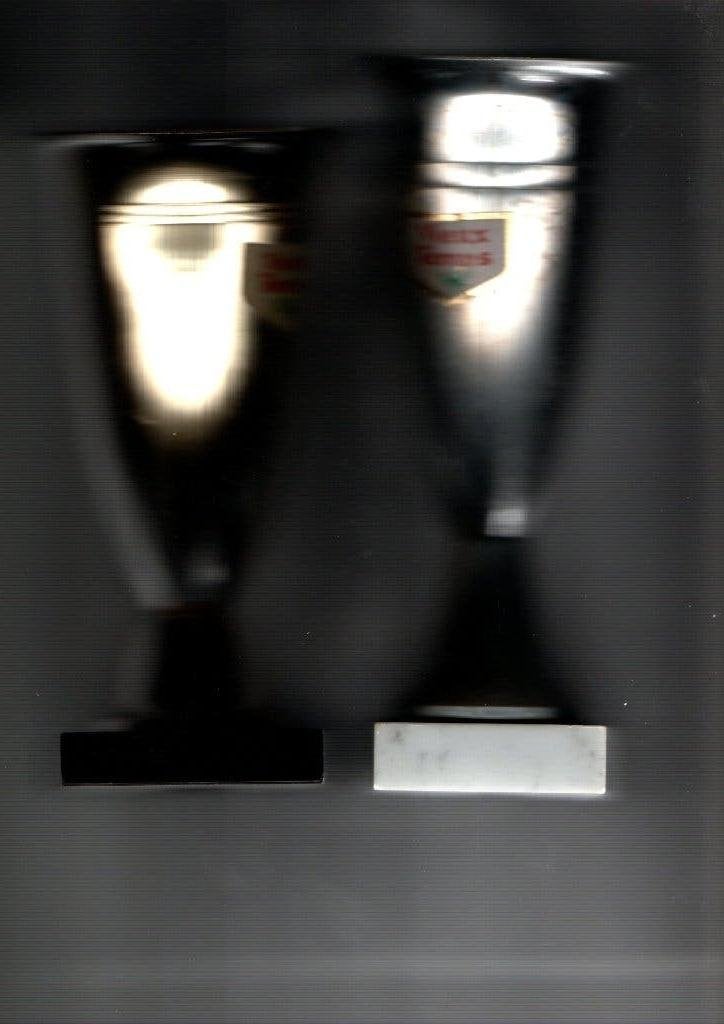 COUPES À TROPHÉES VIEUX TEMPS, Collections, Envoi, Comme neuf, Autres types