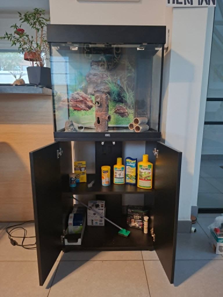 Middelgrote AQUARIUM met KAST (ZIE GRATIS PRODUCTEN), Animaux & Accessoires, Poissons | Aquariums & Accessoires, Enlèvement, Utilisé