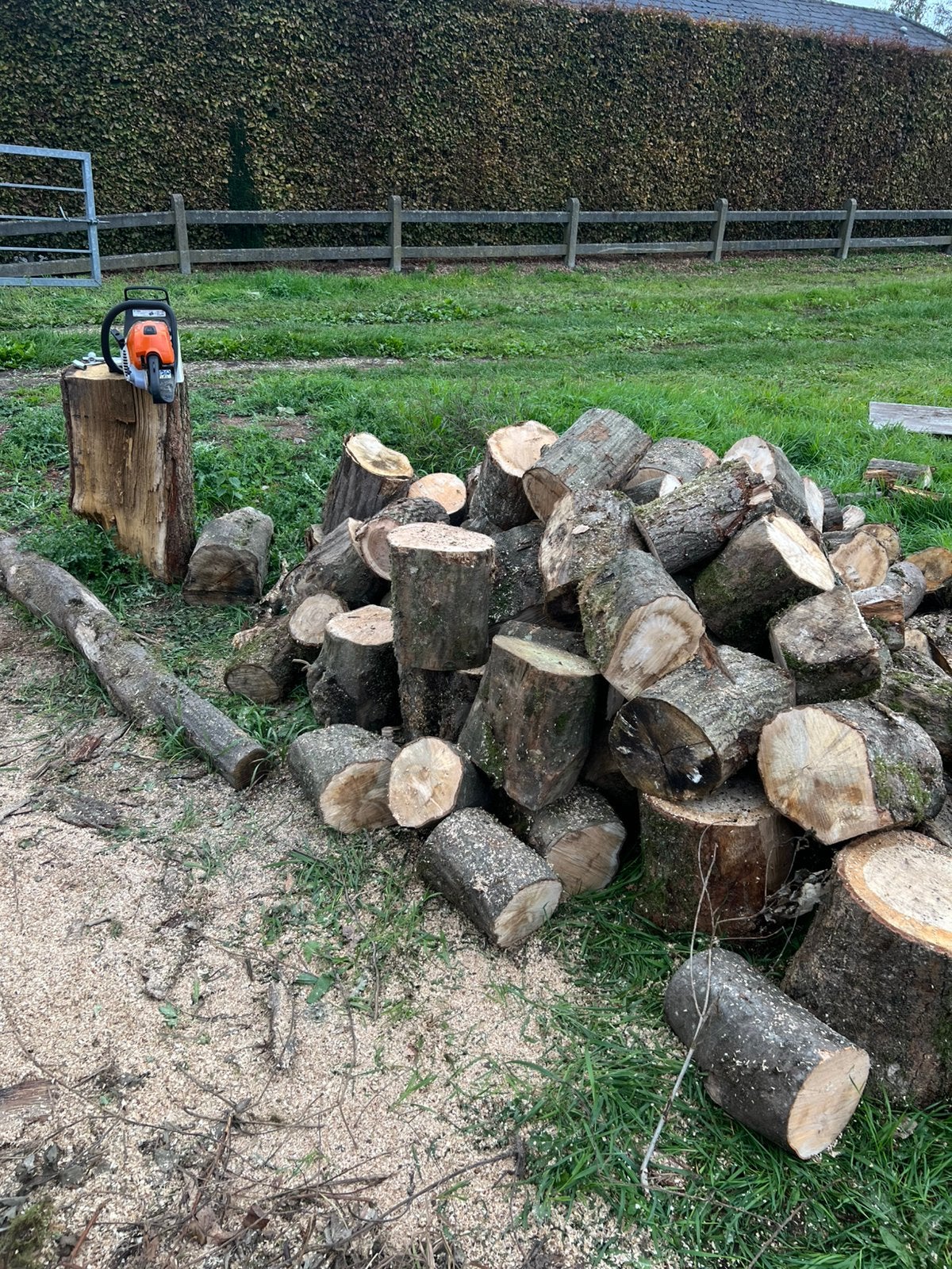 BOIS DE CHAUFFAGE EN CHÊNE/CHARME ‼️, 6 m³ ou plus, Enlèvement ou Envoi, Chêne, Bûches