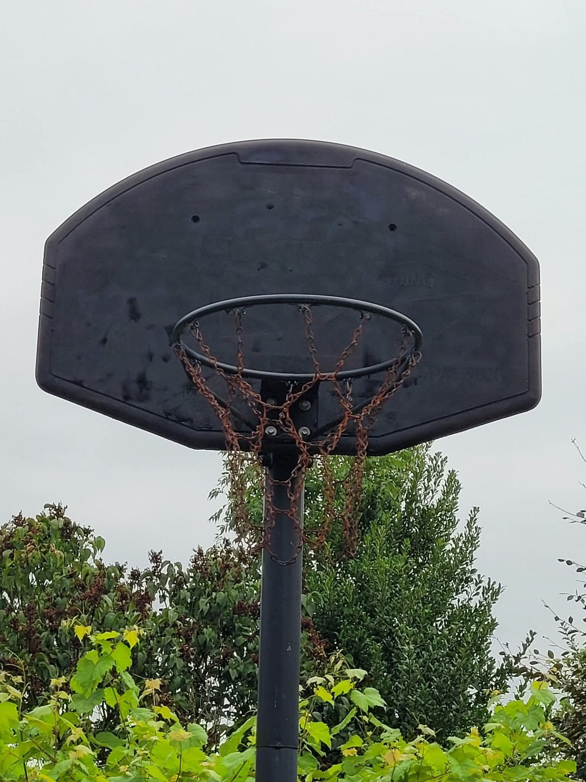 Panier de basket 3m05, Sports & Fitness, Enlèvement, Comme neuf
