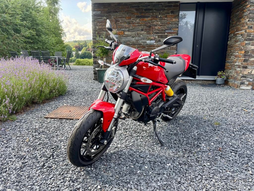Ducati Monster 797, Particulier