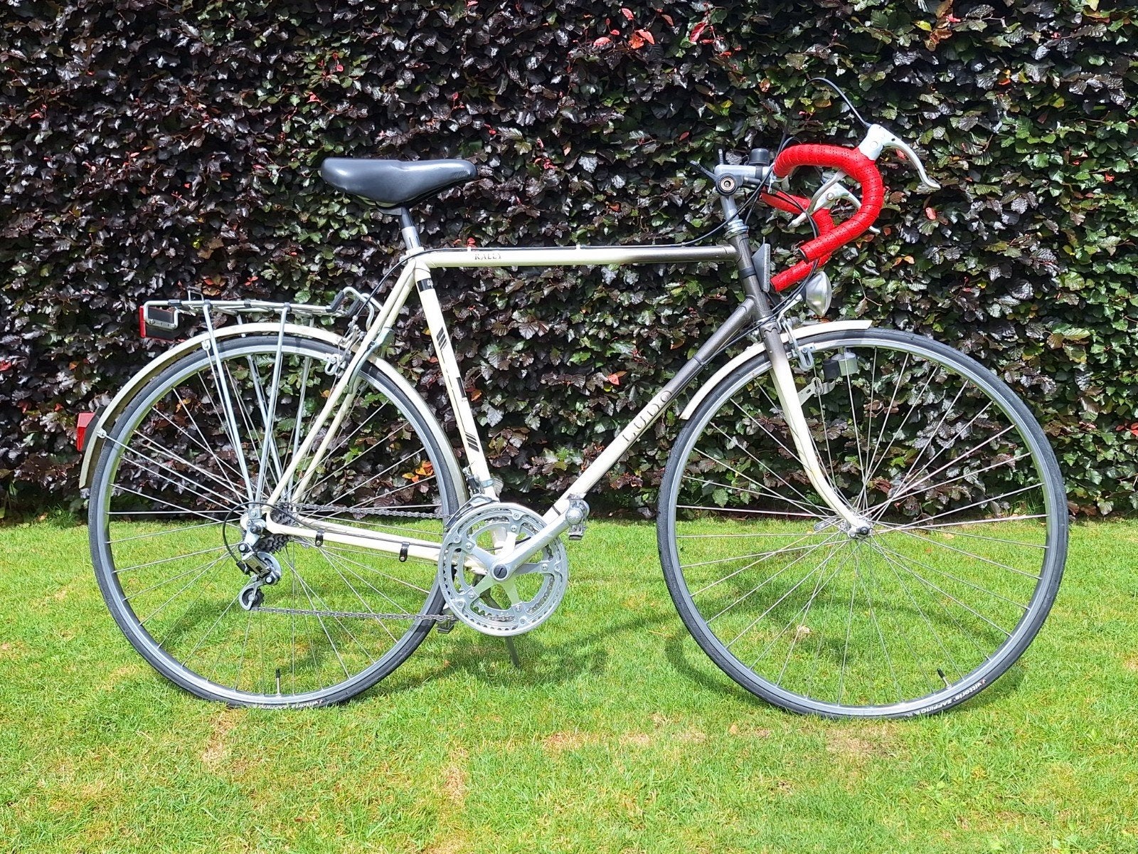 Vélo de ville et d'étudiant Ludo Rally, Vélos & Vélomoteurs, Enlèvement
