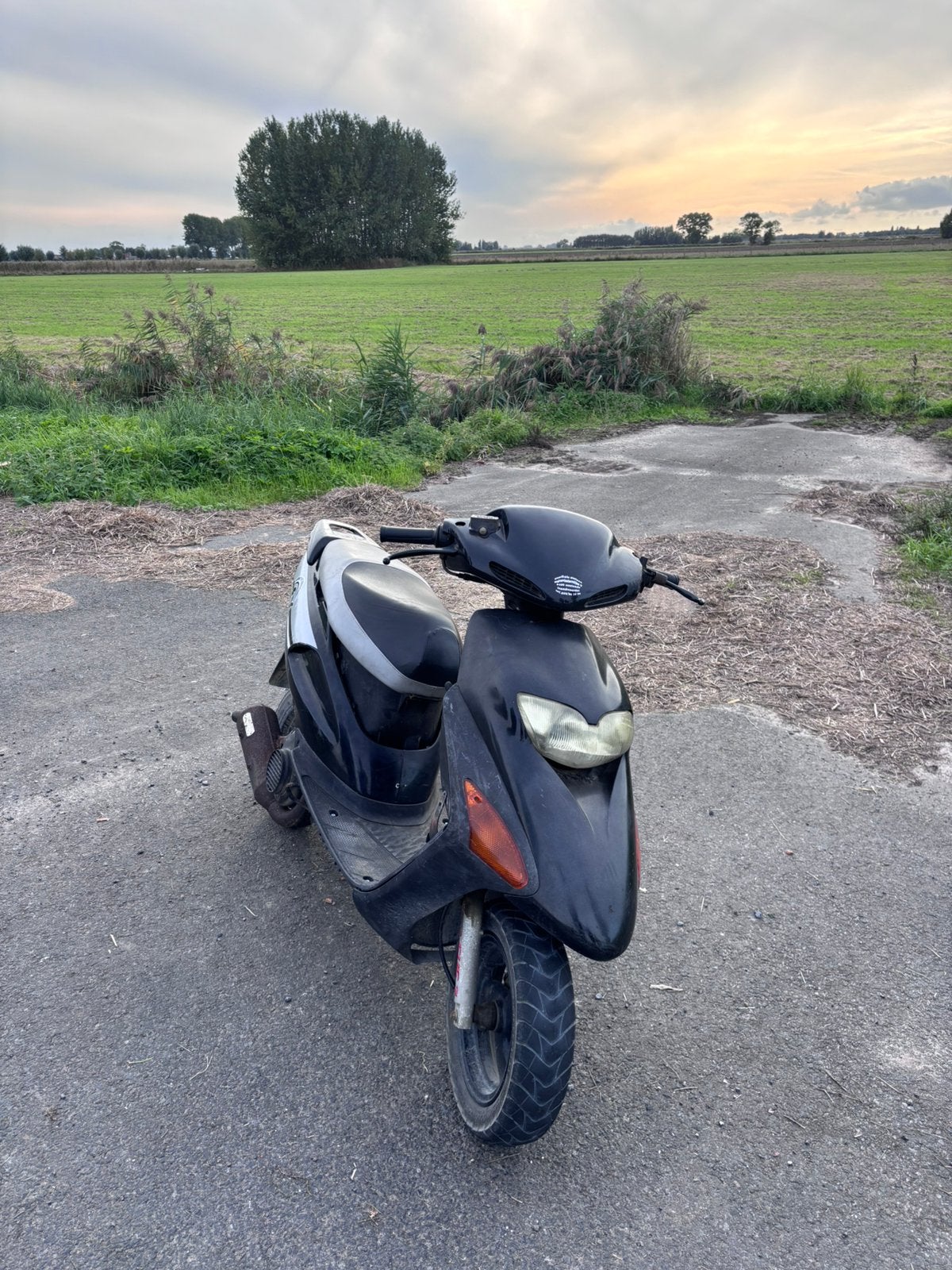 Honda sfx, Fietsen en Brommers, Ophalen, Gebruikt, Klasse A (25 km/u), 50 cc