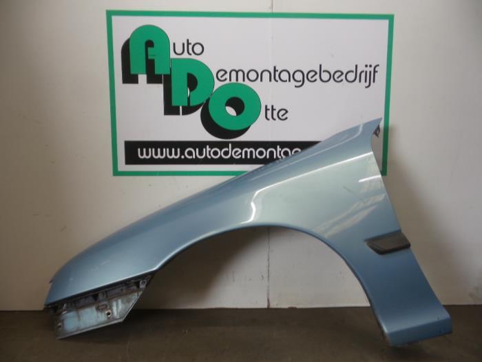 Scherm links-voor van een Opel Calibra (Calibra 90-) (Z368), Gebruikt, -, -, Opel