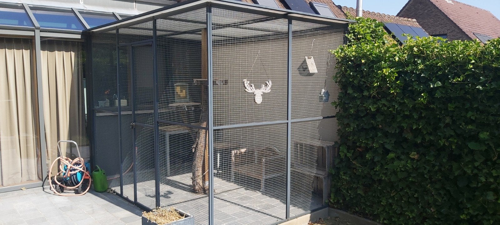 Kattenren of Vollière, Dieren en Toebehoren, Ophalen