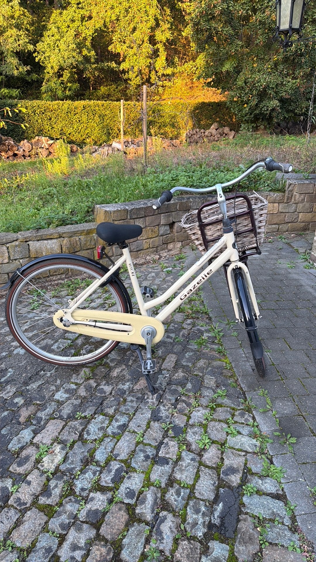 Vello femme Gazelle, Enlèvement, Utilisé