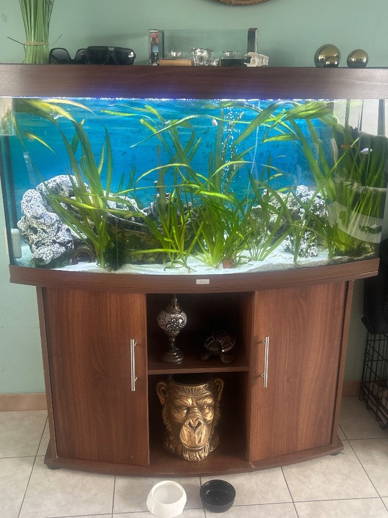 Aquarium met vissen, Ophalen, Gebruikt