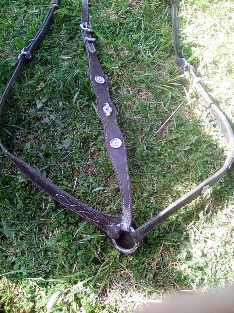 collier de chasse, Animaux & Accessoires, Enlèvement, Comme neuf