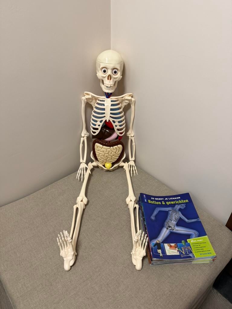 Skelet met informatieve boekjes, Ophalen, Zo goed als nieuw