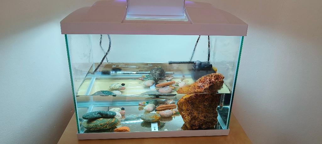 Aquarium, Comme neuf, Enlèvement, Eheim, Aquarium d'eau douce rempli