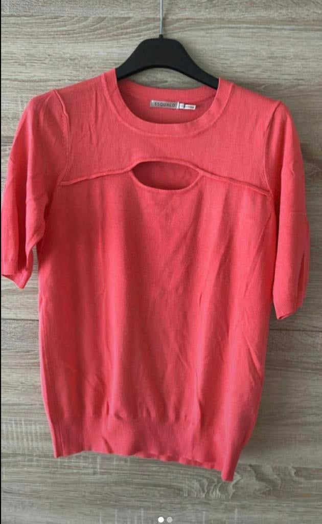T shirt/trui met korte mouwen esqualo maat xs, Ophalen of Verzenden, Zo goed als nieuw, Maat 34 (XS) of kleiner