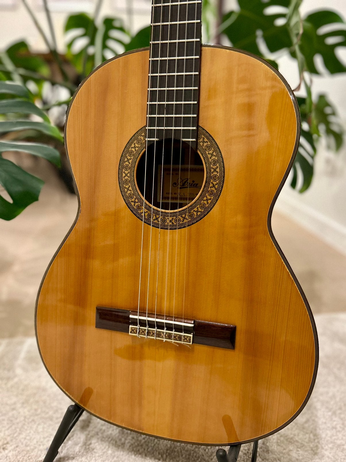 Aria A588 Klassieke gitaar inclusief koffer, Ophalen, Zo goed als nieuw