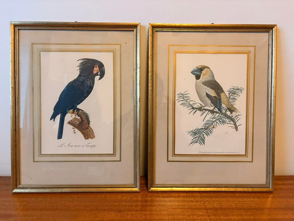 Imprimés d'oiseaux exotiques vintage, Enlèvement