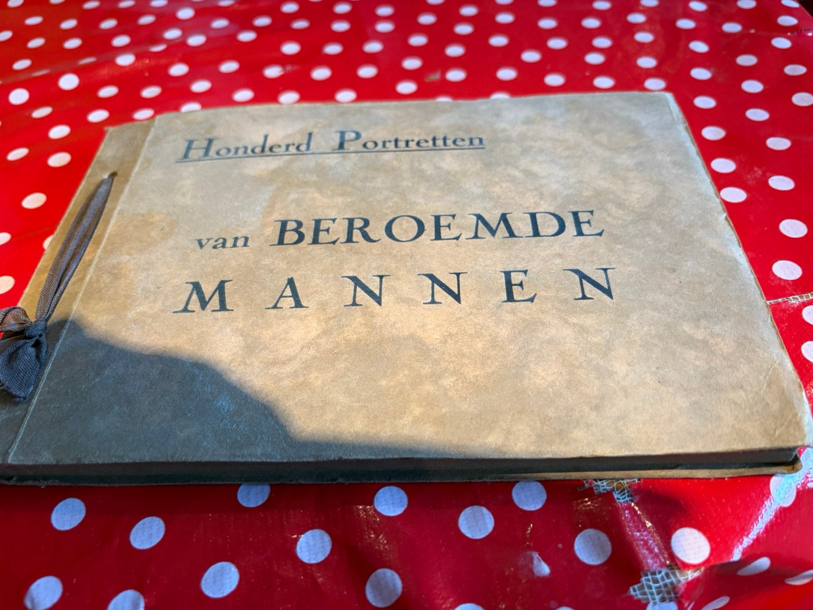 Honderd portretten van beroemde mannen., Livres, Partis & Groupements, Enlèvement, Comme neuf