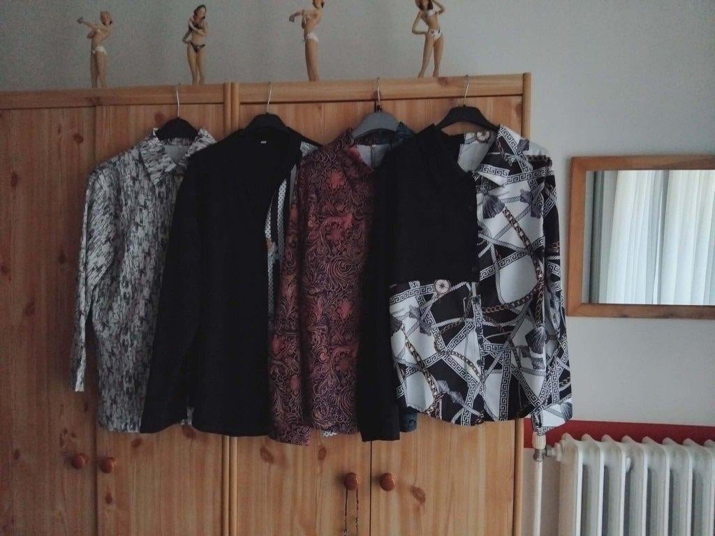 Lot de 4 chemisiers  Taille L, Overige kleuren, Maat 42/44 (L), Zo goed als nieuw, Sans marque