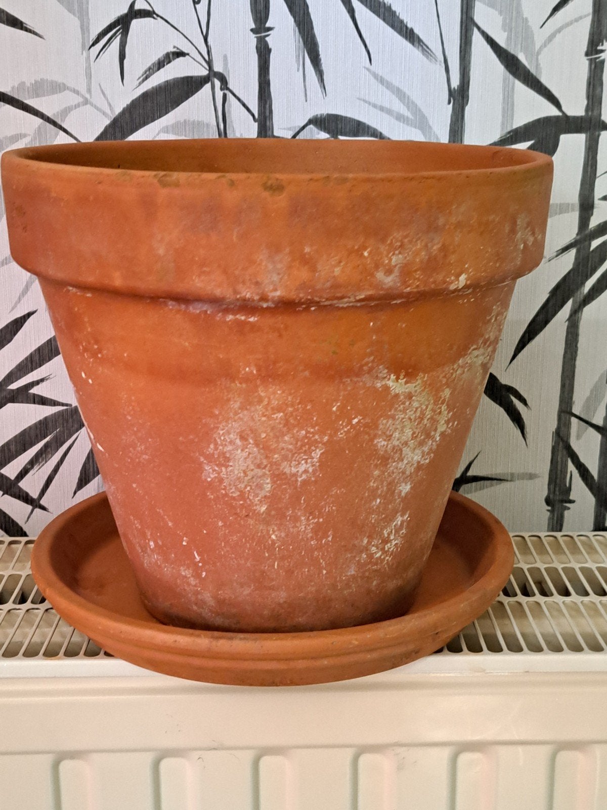 Pot en terre cuite et sa soucoupe, Jardin & Terrasse, Pots de fleurs, Enlèvement