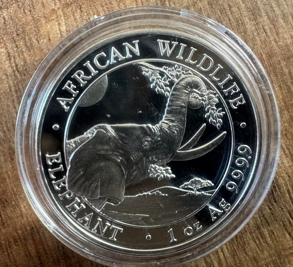 1oz zilveren Somatische Olifant 2023, Verzenden, Zilver