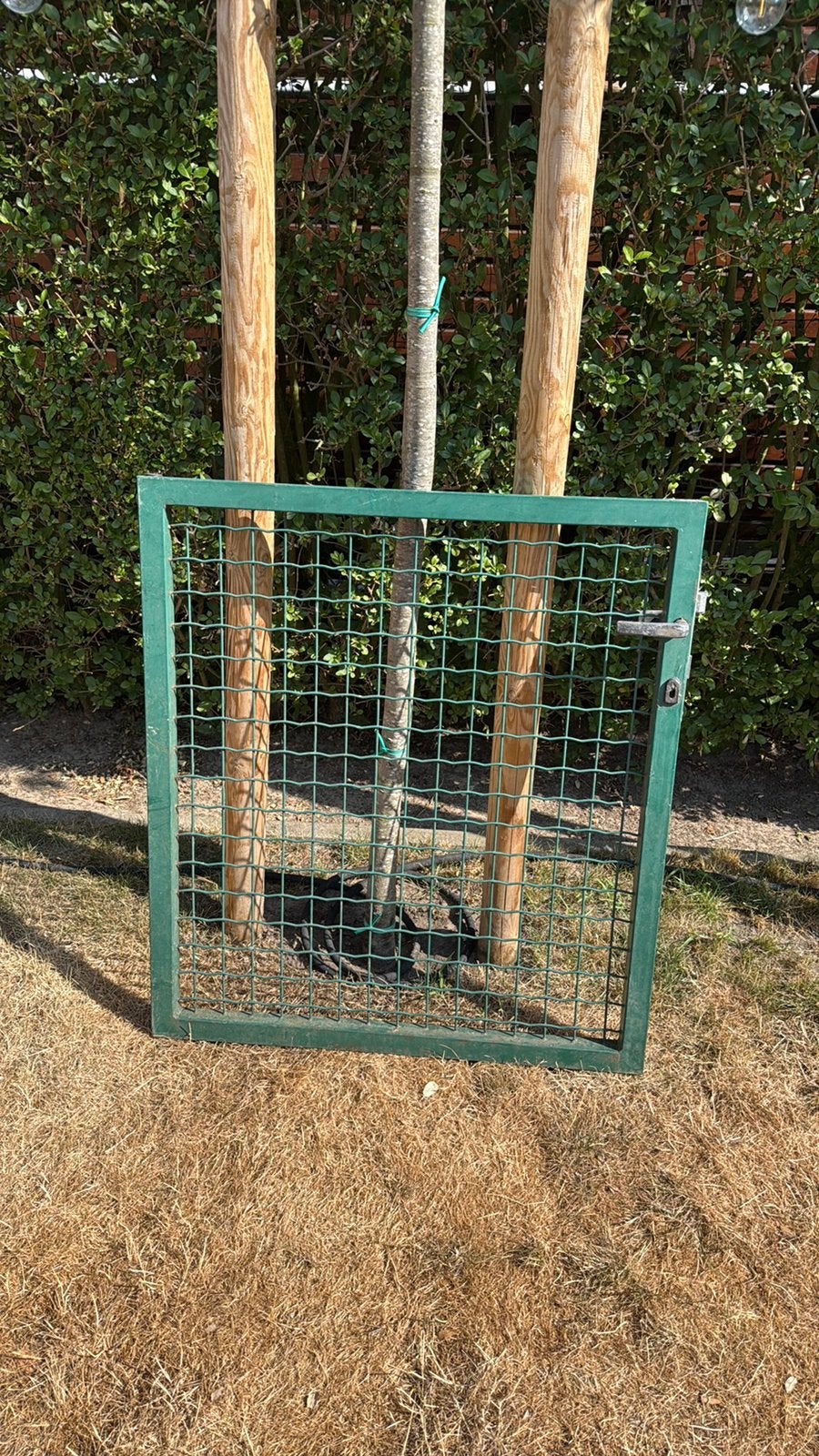 Bekaert tuin panelen en poortje, Tuin en Terras, Tuinhekken en Hekwerk, Ophalen, Met poort, Gebruikt, Tuinhek
