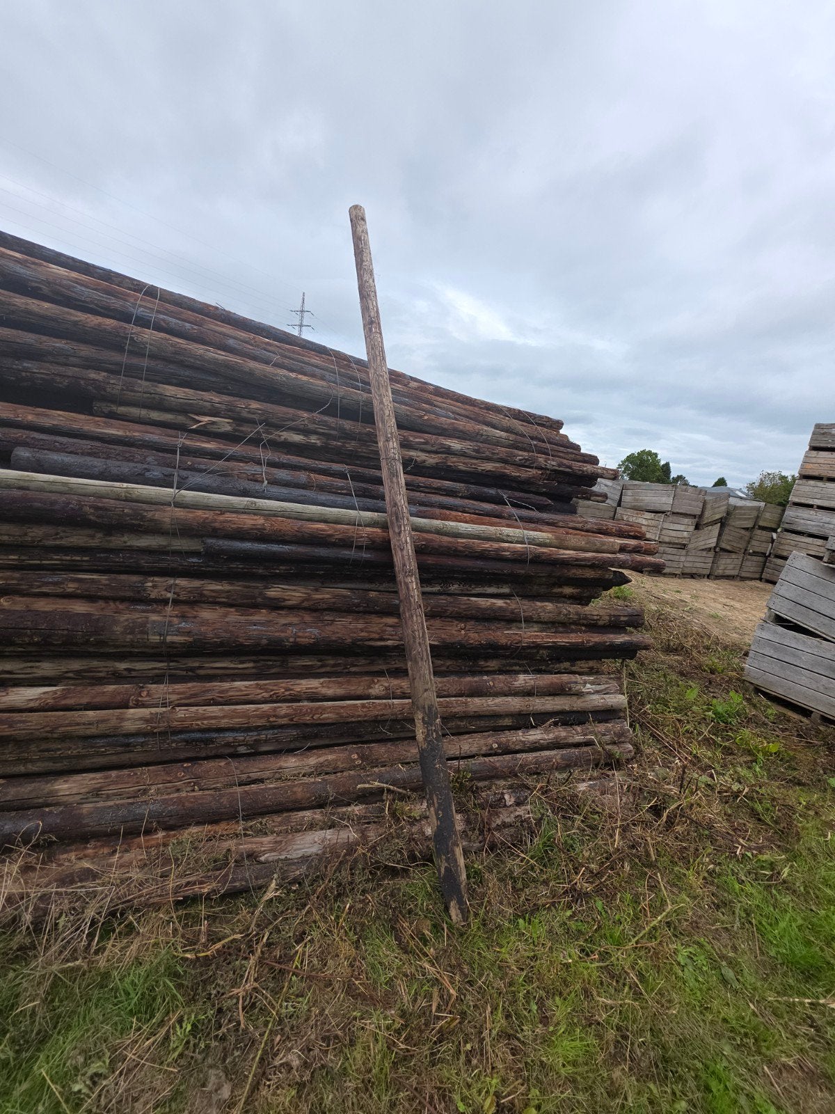 houten palen 3,5 m behandeld, Ophalen, Palen