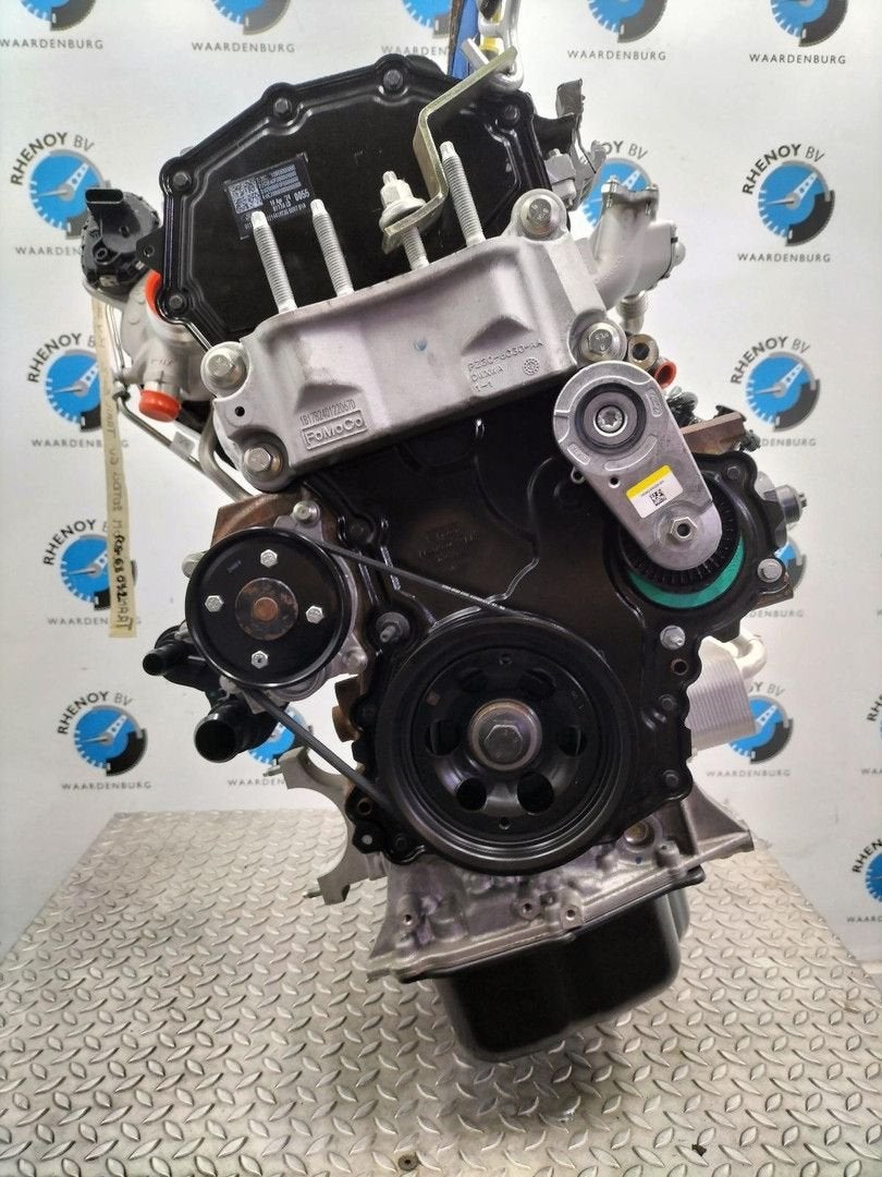 FORD TRANSIT CUSTOM SWB Trail MOTOR 2024, Enlèvement ou Envoi, Utilisé, ARN reconnu