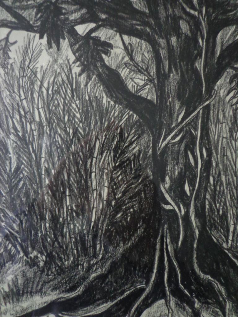 tekening Etienne Le Compte Bogor Grote boom, Antiek en Kunst, Ophalen of Verzenden