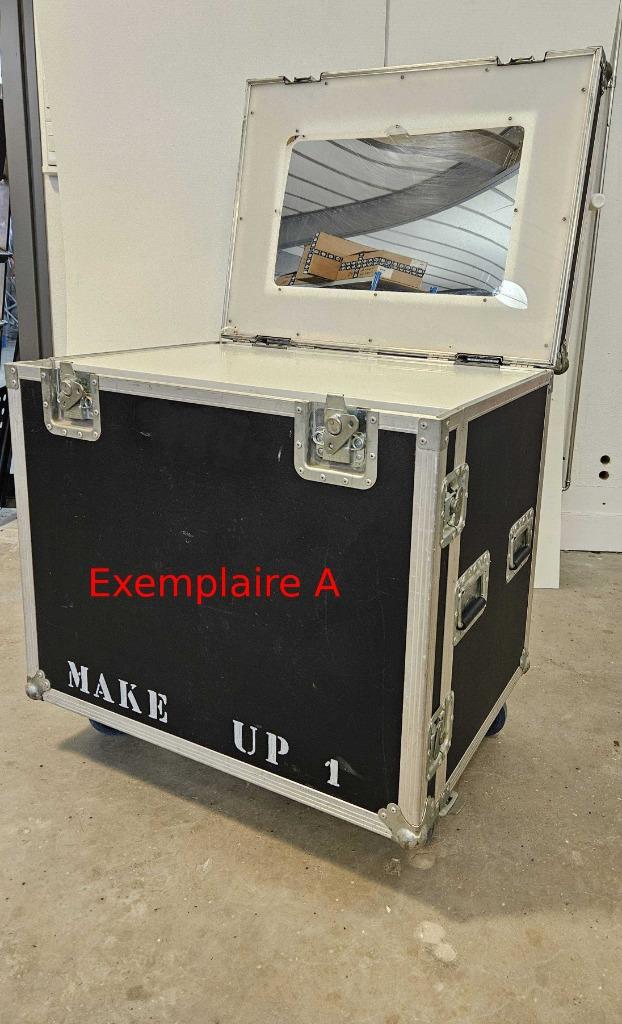 Flightcase mobiel make-upwerkstation, Ophalen of Verzenden, Gebruikt, Overige instrumenten, Flightcase