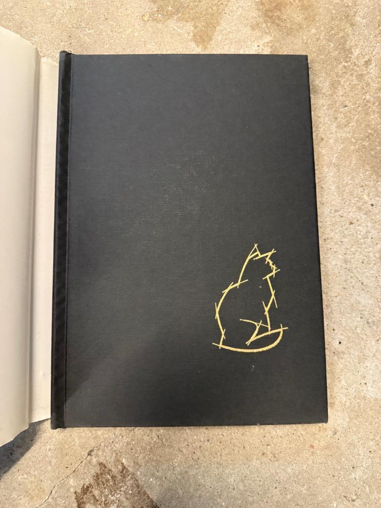 Livre La vie mystérieuse des chats Ray Anderson, Enlèvement ou Envoi, Comme neuf, Chats