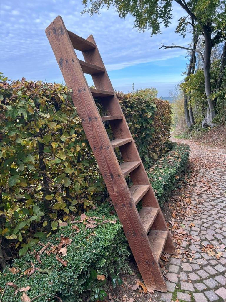 Escalier ancien en bois de pin, Moins de 200 cm, Pin, Enlèvement, Utilisé