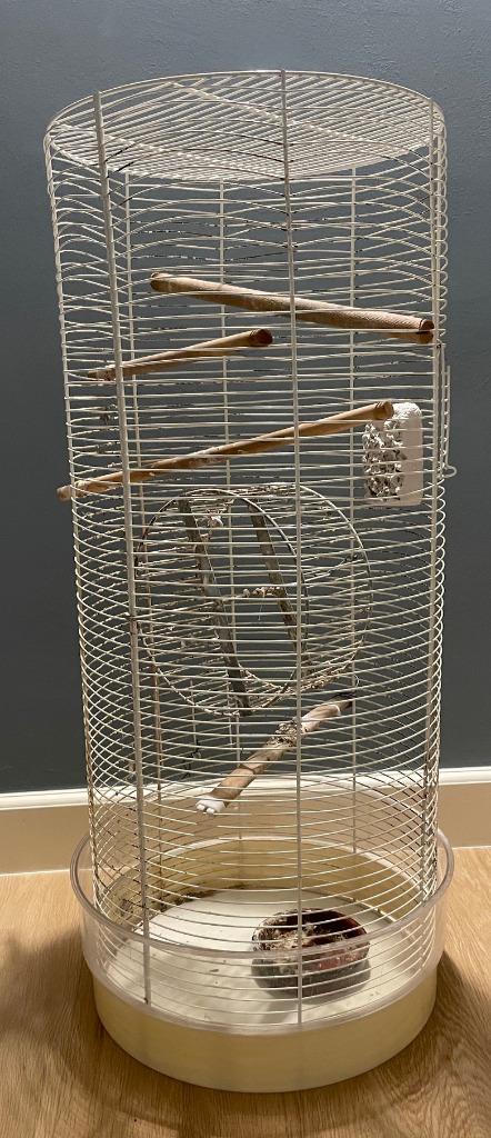 Grande cage d'oiseaux, Enlèvement, Utilisé, Métal, Cage à oiseaux