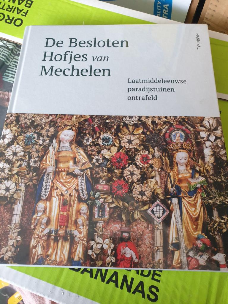 Hanne Itterbeke - De Besloten Hofjes van Mechelen, Enlèvement ou Envoi, Comme neuf, Autres sujets/thèmes, Hanne Itterbeke; Lieve Watteeuw