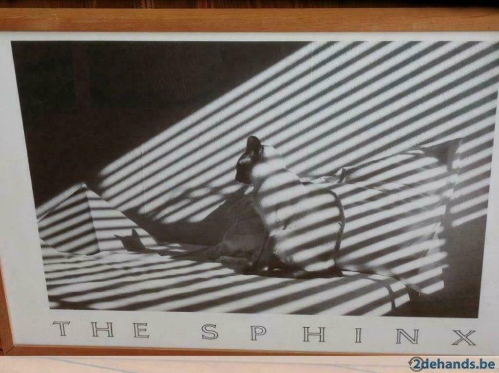 Affiche "Le Sphinx", Maison & Meubles, Enlèvement ou Envoi, Comme neuf