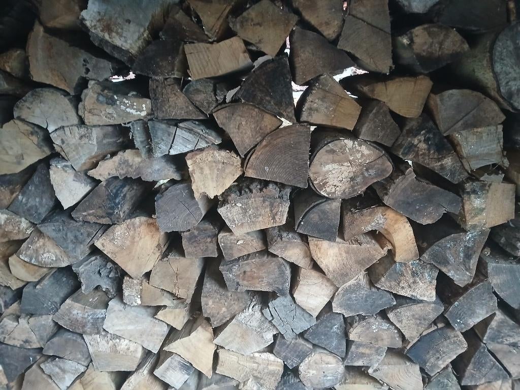 Brandhout - Hardhout te koop, 6 m³ ou plus, Enlèvement, Chêne, Bûches