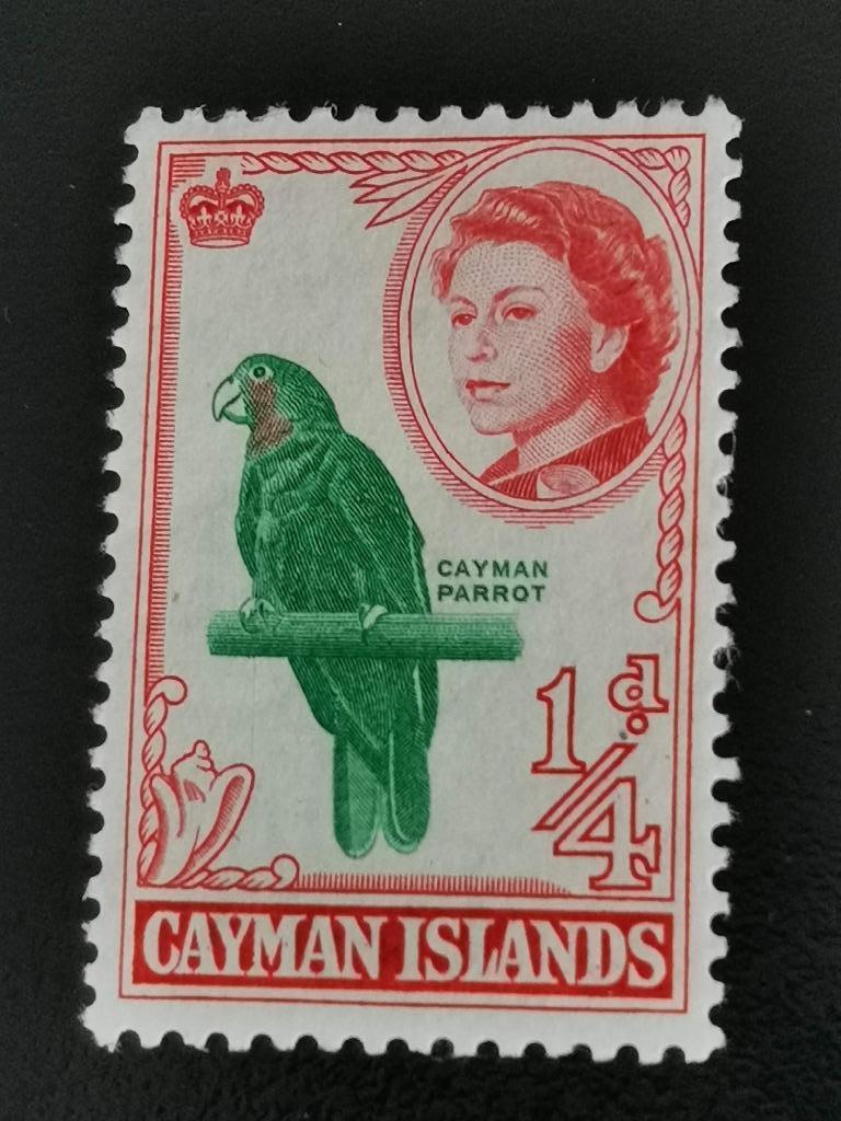 Îles Caïmans 1962 - oiseaux - perroquet - Amazone de Cuba**, Enlèvement ou Envoi, Non oblitéré, Amérique du Nord