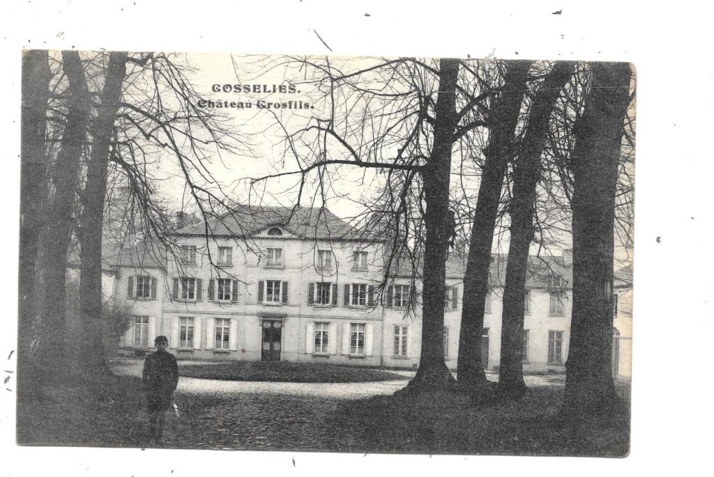Gosselies NA85: Château Grosfils 1919, Collections, Cartes postales | Belgique, Envoi, Avant 1920, Affranchie, Hainaut