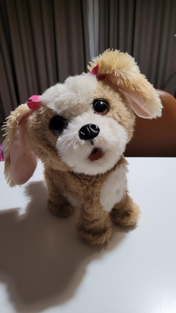 Hondje FurReal, Enlèvement