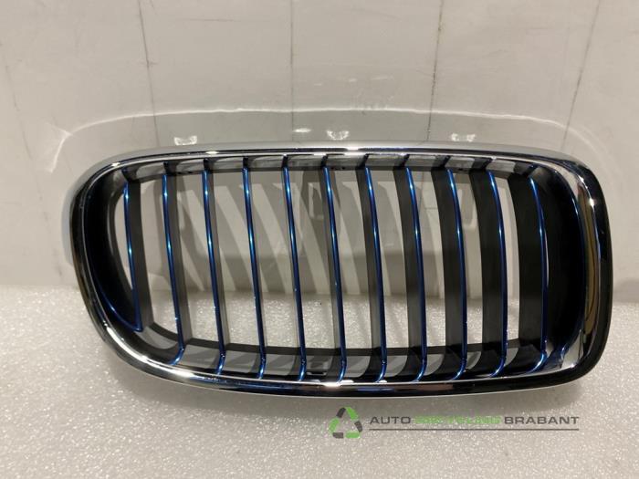Grille van een BMW 3-Serie, Gebruikt, -, -, Ophalen of Verzenden