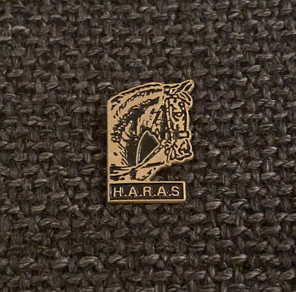 PIN - HARAS - CHEVAL - PAARD - HORSE, Enlèvement ou Envoi, Utilisé, Animal et Nature, Insigne ou Pin's