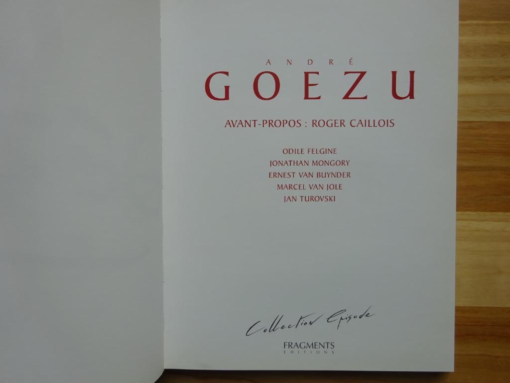 André Goezu, Monographie 2000, Fragments éditions, Ophalen of Verzenden, Zo goed als nieuw, Schilder- en Tekenkunst