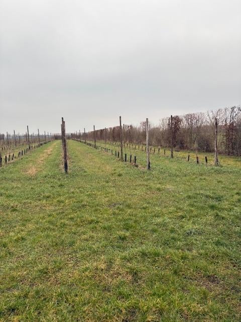 landbouwgrond, Herk-de-stad, 1500 m² of meer