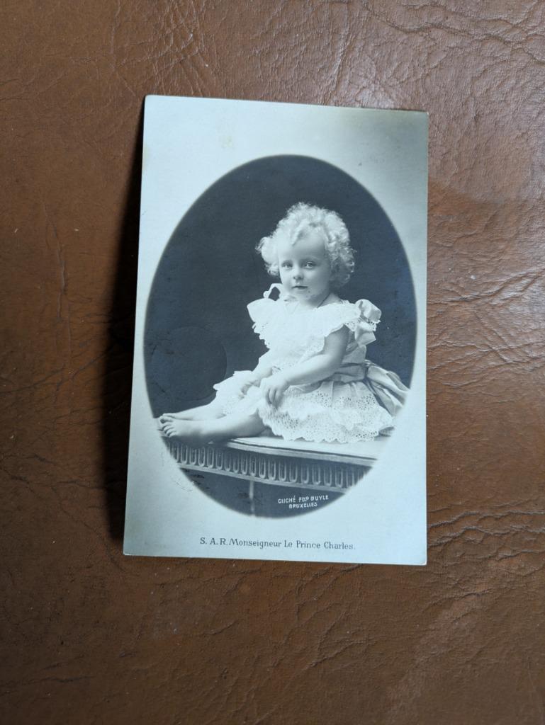 Prins Karel, Enlèvement ou Envoi, Comme neuf, Carte, Photo ou Gravure