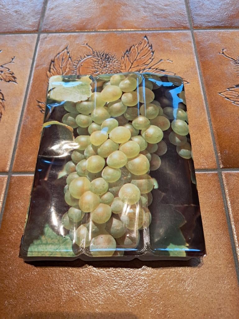 Refroidisseur de bouteille Vacu Vin, Maison & Meubles, Cuisine | Vaisselle, Comme neuf, Autres types, Autres matériaux, Enlèvement ou Envoi