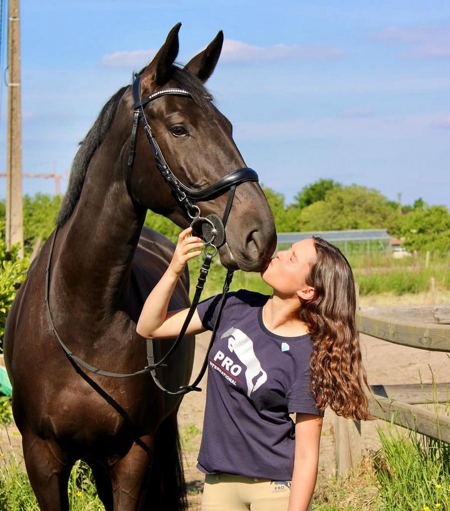 Allround paard te koop, Dieren en Toebehoren, Ophalen, Zo goed als nieuw