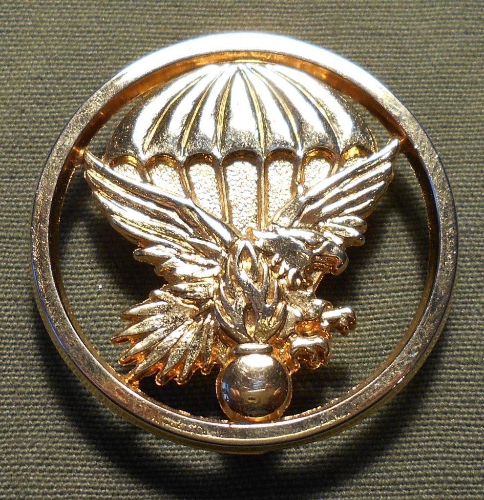 FRANCE / INSIGNE DE BERET DE L'  EPIGN / GIGN., Verzenden, Rijkswacht, Embleem of Badge