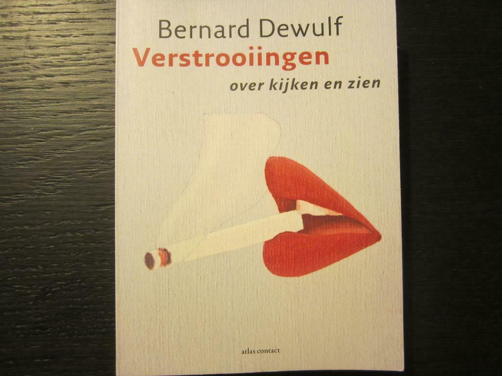 Verstrooiingen -Over kijken en zien- (Bernard Dewulf), Boeken, Ophalen of Verzenden, Gelezen
