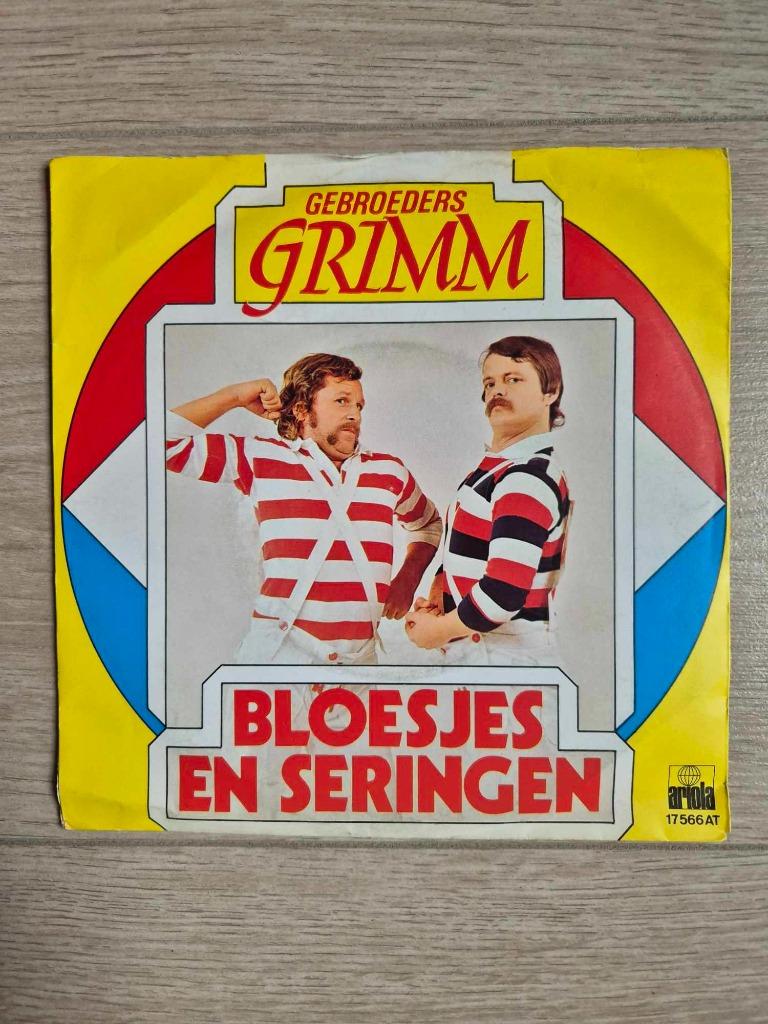 Singel Gebroeders Grimm, Ophalen of Verzenden