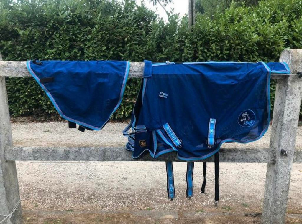 Vliegendeken pony, Ophalen of Verzenden, Zo goed als nieuw