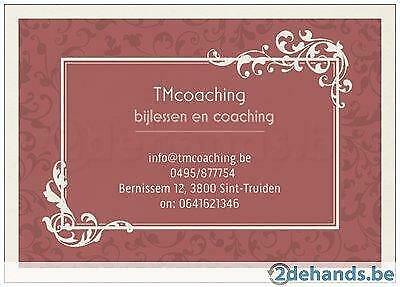 Cours de mathématiques et de sciences à Saint-Trond, Cours particulier, Aide aux devoirs