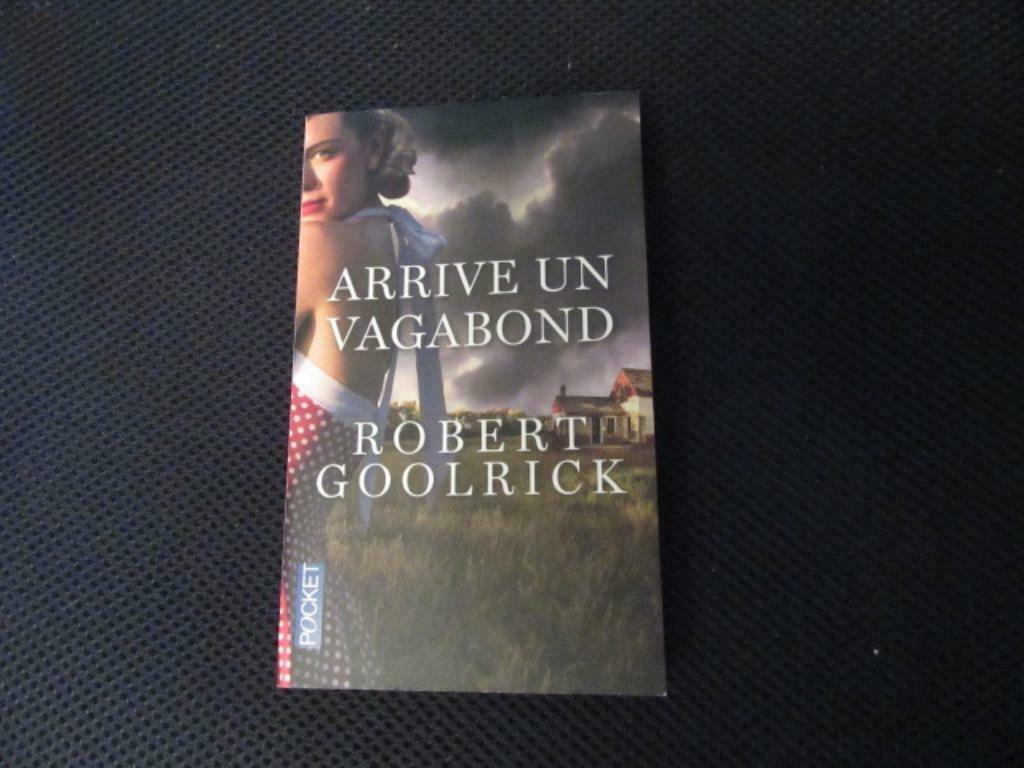 T arrive un vagabond, Robert Goolrick, Pocket, Livres, Enlèvement, Neuf